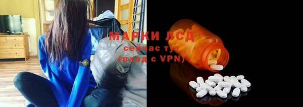 ГАЛЛЮЦИНОГЕННЫЕ ГРИБЫ Ельня