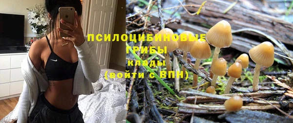 скорость Елизово