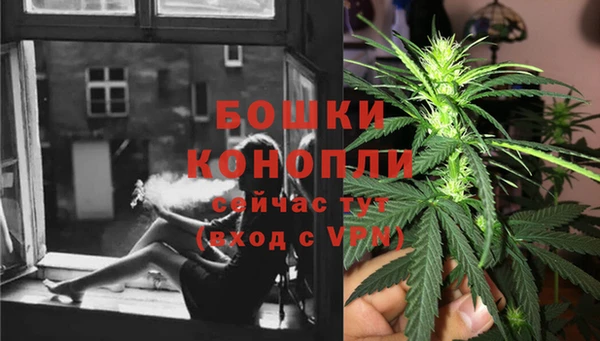 ГАЛЛЮЦИНОГЕННЫЕ ГРИБЫ Ельня