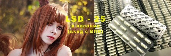 ГАЛЛЮЦИНОГЕННЫЕ ГРИБЫ Ельня