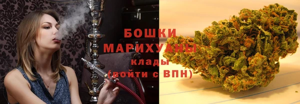 ГАЛЛЮЦИНОГЕННЫЕ ГРИБЫ Ельня