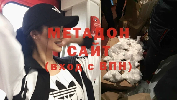 ГАЛЛЮЦИНОГЕННЫЕ ГРИБЫ Ельня